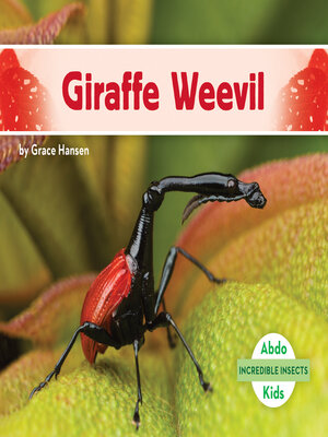 cover image of Giraffe Weevil